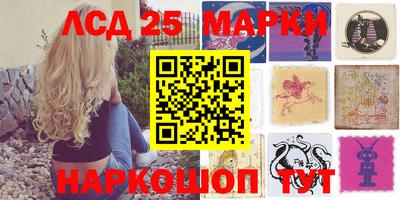 PSILOCYBIN Можга