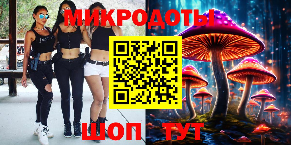 Псилоцибиновые грибы Cubensis Элиста