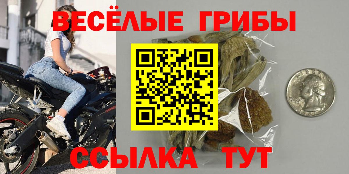 Элиста  Галлюциногенные грибы мицелий  Вход с VPN  Псилоцибиновые грибы GOLDEN TEACHER 