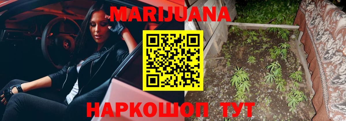 Каннабис Ganja Элиста