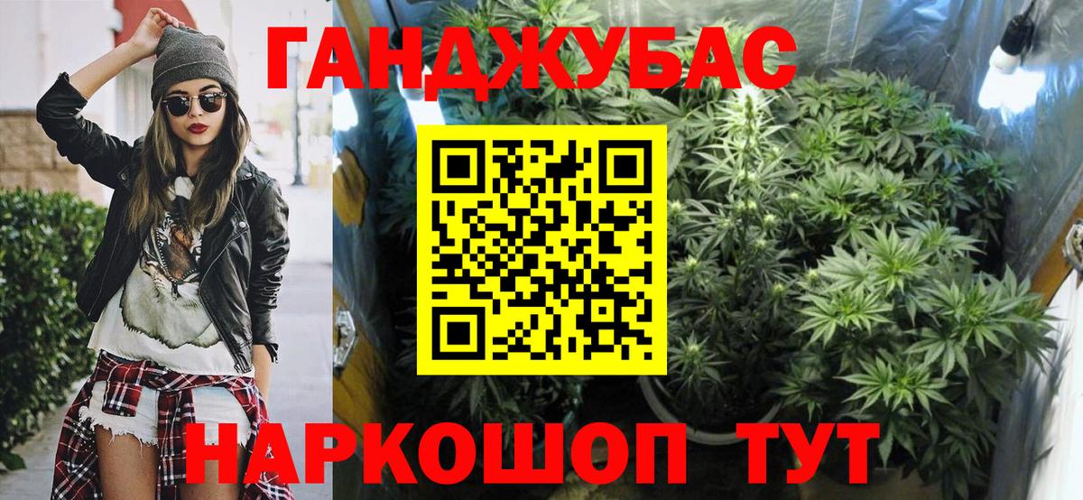 Элиста  Шишки марихуана планчик  Вход с VPN  Каннабис марихуана 